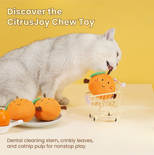 CitrusJoy Chew Toy