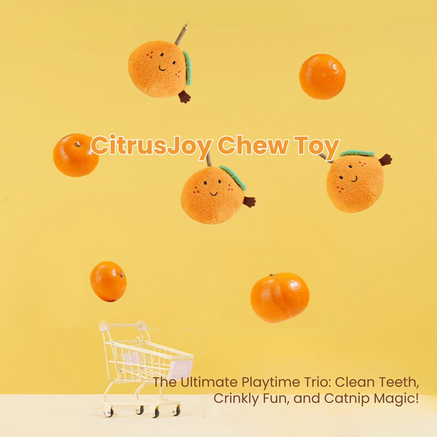 CitrusJoy Chew Toy