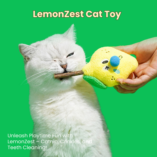 LemonZest Cat Toy