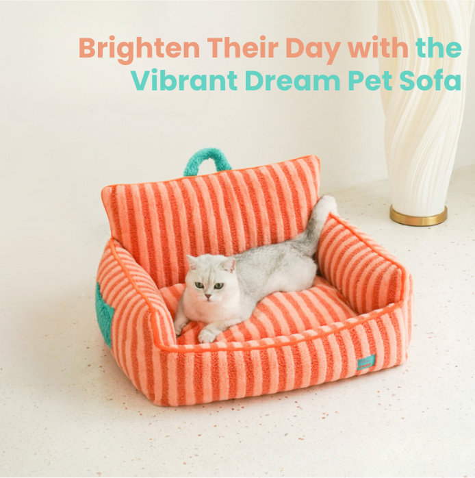 Vibrant Dream Pet Sofa