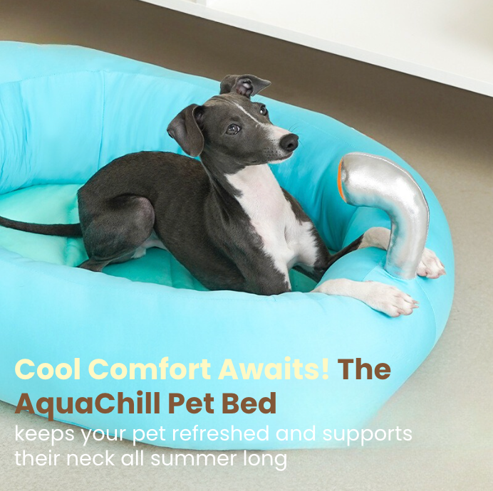 AquaChill Pet Bed