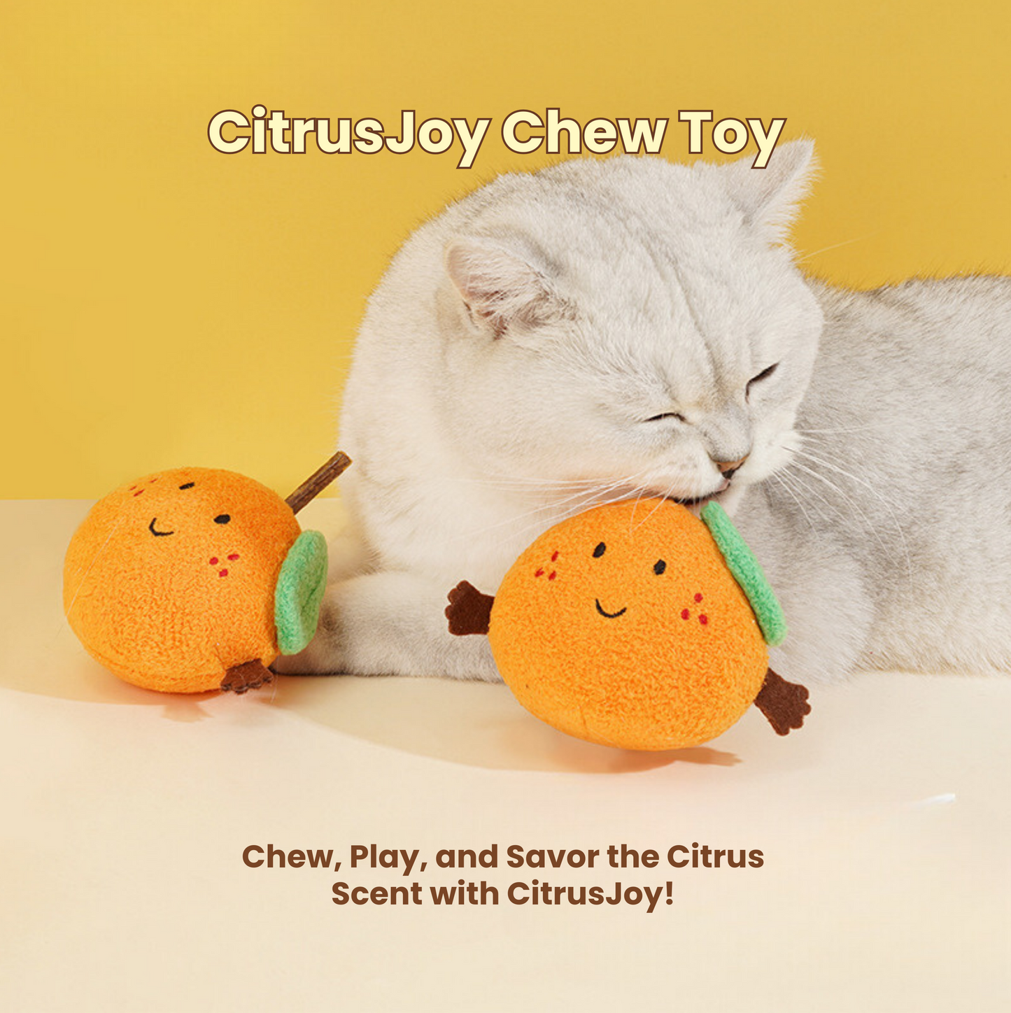 CitrusJoy Chew Toy